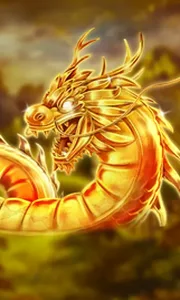 Angry Dragons