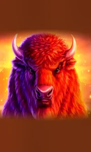 Buffalo 50